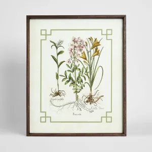 Vintage Flora 2 Wall Art 50x60cm by Florabelle Living, a Christmas for sale on Style Sourcebook