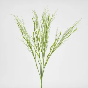 Fountain Grass Spray 66cm Green by Florabelle Living, a Christmas for sale on Style Sourcebook