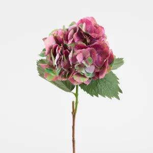 Hydrangea Large Stem With Leaves 75cm Dark Pink by Florabelle Living, a Christmas for sale on Style Sourcebook