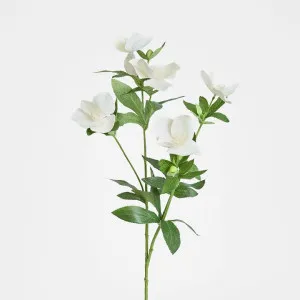 Helleborus Flower Spray 72cm White by Florabelle Living, a Christmas for sale on Style Sourcebook