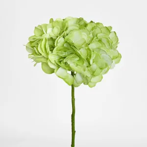 Soft Touch Hydrangea Flower Stem 75cm Green by Florabelle Living, a Christmas for sale on Style Sourcebook