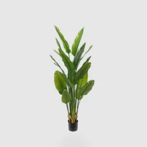 Bird of Paradise Real Touch 180cm by TREE CREATIONS, a Christmas for sale on Style Sourcebook