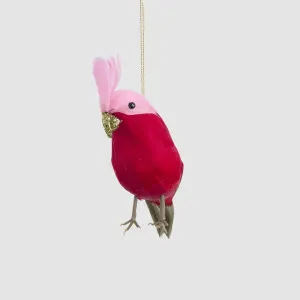Efina Hanging Budgie Red by Vixen & Velvet, a Christmas for sale on Style Sourcebook