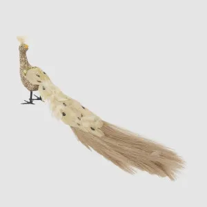 Champagne Peacock by Vixen & Velvet, a Plants for sale on Style Sourcebook