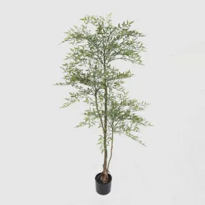 Green Nandina Tree 170cm by TREE CREATIONS, a Plants for sale on Style Sourcebook