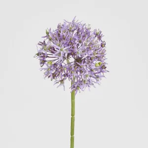 Allium Flower Stem 74cm Lavender by Florabelle Living, a Plant Holders for sale on Style Sourcebook