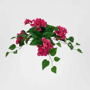 UV Trailing Clematis Bush Fuchsia by Florabelle Living, a Decorative Accessories for sale on Style Sourcebook