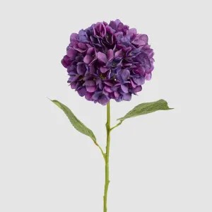 Claire Hydrangea Stem Purple by Florabelle Living, a Decorative Accessories for sale on Style Sourcebook