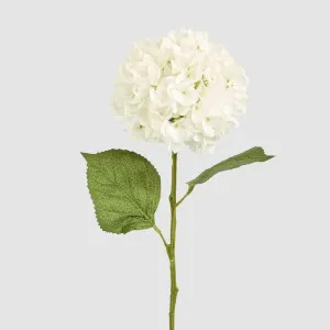 Claire Hydrangea Stem White by Florabelle Living, a Decorative Accessories for sale on Style Sourcebook