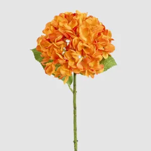 Hydrangea Flower Stem 48cm Orange by Florabelle Living, a Decorative Accessories for sale on Style Sourcebook