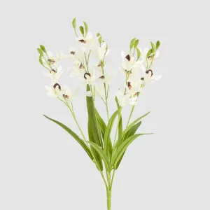 Cymbidium Spray With Leaves White by JMC FLORALS, a Decorative Accessories for sale on Style Sourcebook
