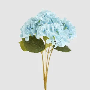 Hydrangea Bunch With 5 Heads Blue by JMC FLORALS, a Plants for sale on Style Sourcebook
