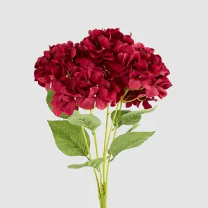 Large Hydrangea Bunch Burgundy by JMC FLORALS, a Plants for sale on Style Sourcebook