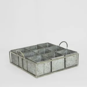 Potting Shed Zinc Seedling Tray by PERFECT PIECES, a Plants for sale on Style Sourcebook