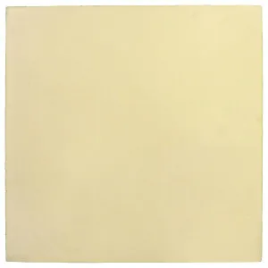 Plain Encaustic Tile 20x20, Beige by Schots, a Encaustic Tiles for sale on Style Sourcebook