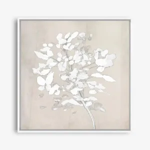 Soft Bloom (Square) Canvas Print by The Print Emporium, a Prints for sale on Style Sourcebook