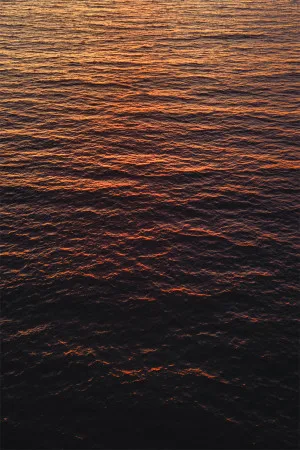 Golden Road by Gioia Wall Art, a Prints for sale on Style Sourcebook