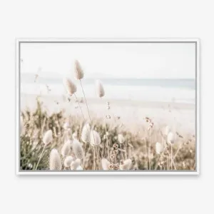 Coastal Grass Photo Canvas Print by The Print Emporium, a Prints for sale on Style Sourcebook