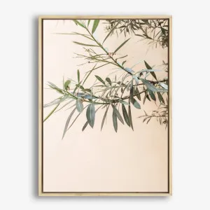 Olive Branch Photo Canvas Print by The Print Emporium, a Prints for sale on Style Sourcebook
