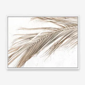 Dried Palm Leaf I Photo Canvas Print by The Print Emporium, a Prints for sale on Style Sourcebook