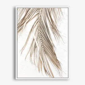 Dried Palm Leaf II Photo Canvas Print by The Print Emporium, a Prints for sale on Style Sourcebook
