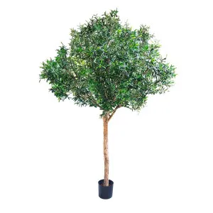 Giant Artifical Olive Tree 2.3m by Florabelle Living, a Plants for sale on Style Sourcebook