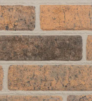 Territory Brick Red Rustic by Cemintel, a Textured Cladding for sale on Style Sourcebook