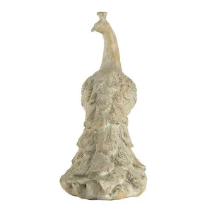 Arbour Peacock Sculpture by Florabelle Living, a Statues & Lawn Ornaments for sale on Style Sourcebook