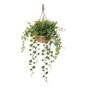 Fern Garden Mix Hanging 70x126cm in Green by OZ Design, a Plants for sale on Style Sourcebook