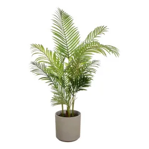 Areca Palm Cylinder 100x145cm in Green by OZ Design, a Plants for sale on Style Sourcebook
