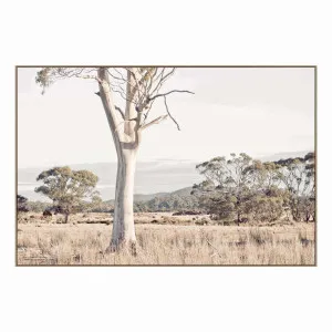 Ember Plains Box Framed Canvas in 150 x 100cm by OZ Design, a Painted Canvases for sale on Style Sourcebook