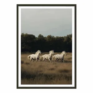 White Herd Framed Print in 84 x 118cm by OZ Design, a Prints for sale on Style Sourcebook