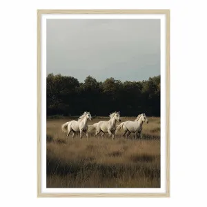 White Herd Framed Print in 61 x 84cm by OZ Design, a Prints for sale on Style Sourcebook