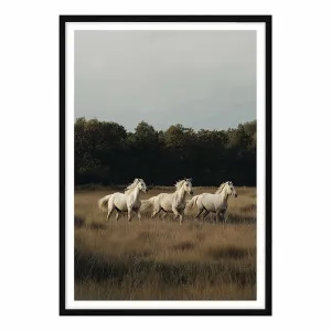 White Herd Framed Print in 73 x 103cm by OZ Design, a Prints for sale on Style Sourcebook