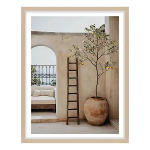 Arches & Citrus Framed Print in 95 x 133cm by OZ Design, a Prints for sale on Style Sourcebook