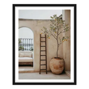 Arches & Citrus Framed Print in 84 x 118cm by OZ Design, a Prints for sale on Style Sourcebook
