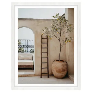 Arches & Citrus Framed Print in 73 x 103cm by OZ Design, a Prints for sale on Style Sourcebook