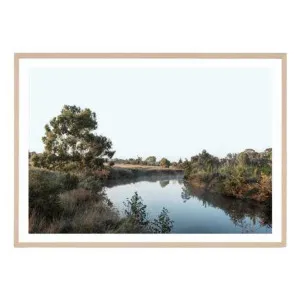 Fyshwick Wetlands Framed Print in 62 x 45cm by OZ Design, a Prints for sale on Style Sourcebook