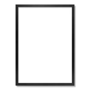 Decorator Black A2 Box Picture Frame by Profile Australia, a Picture Frames for sale on Style Sourcebook