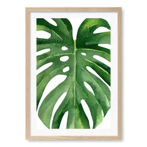 Monstera Leaf Framed Art Print by Profile Australia, a Prints for sale on Style Sourcebook