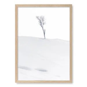 Lonely At Top Framed Art Print by Jassi Oberai by Profile Australia, a Prints for sale on Style Sourcebook