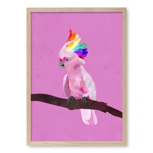 Rainbow Cockatoo Framed Art Print by Sarah Manovski by Profile Australia, a Prints for sale on Style Sourcebook
