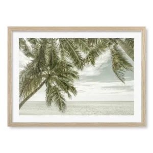 Tropical Serenity Framed Art Print by Melanie Viola by Profile Australia, a Prints for sale on Style Sourcebook