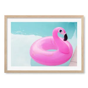 Giving You The Eye Framed Art Print by Profile Australia, a Prints for sale on Style Sourcebook