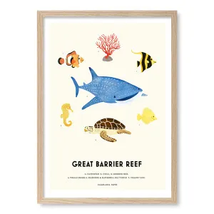 Barrier Reef Sealife Framed Art Print by Profile Australia, a Prints for sale on Style Sourcebook