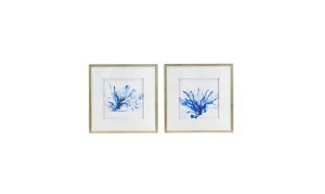 Blue Coral Framed Prints Wall Art 56cm x 56cm by Dasch Design, a Prints for sale on Style Sourcebook
