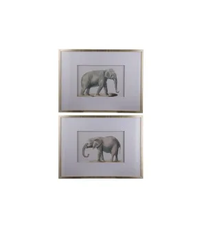 Elephant Framed Prints Wall Art Set of 2 60cm x 80cm by Dasch Design, a Prints for sale on Style Sourcebook