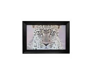 Leopard Black Painted Framed Wall Art 80cm x 110cm by Dasch Design, a Prints for sale on Style Sourcebook