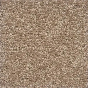 Castilla - Salamanca by Bremworth Aspire Collection, a Twist for sale on Style Sourcebook