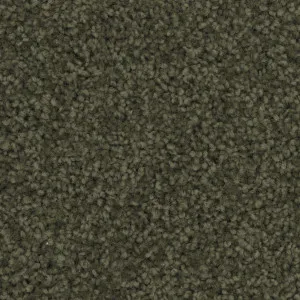 Charmeuse - Woodland by Bremworth Aspire Collection, a Twist for sale on Style Sourcebook